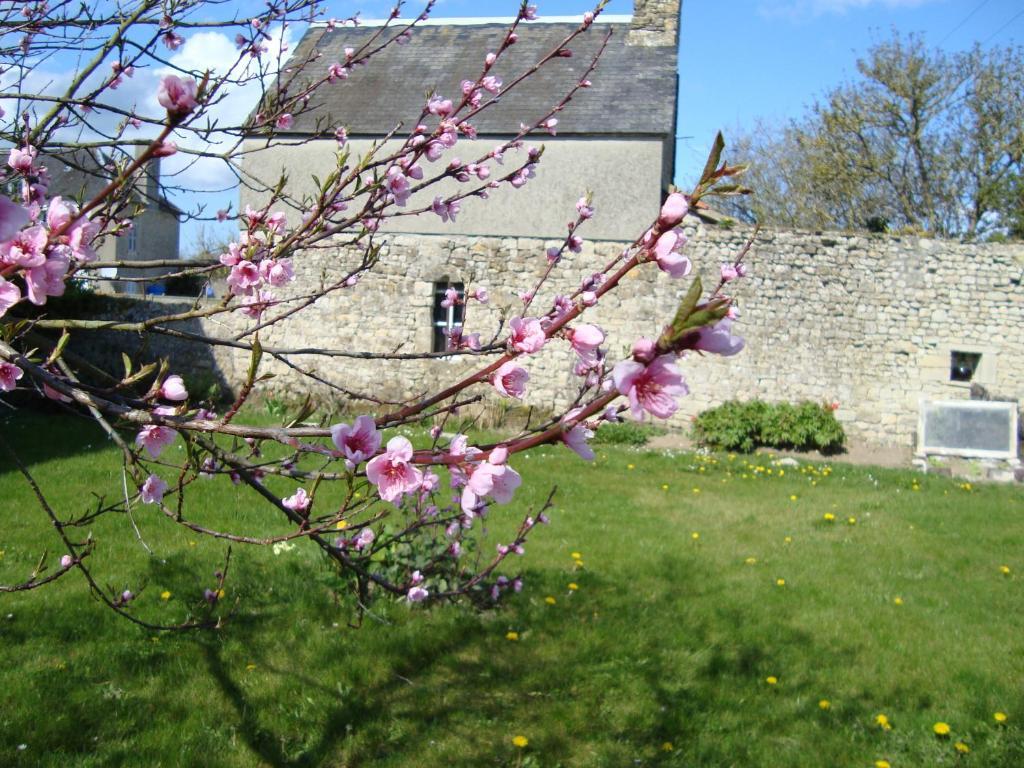 La Maison Claire Longueville  Bagian luar foto